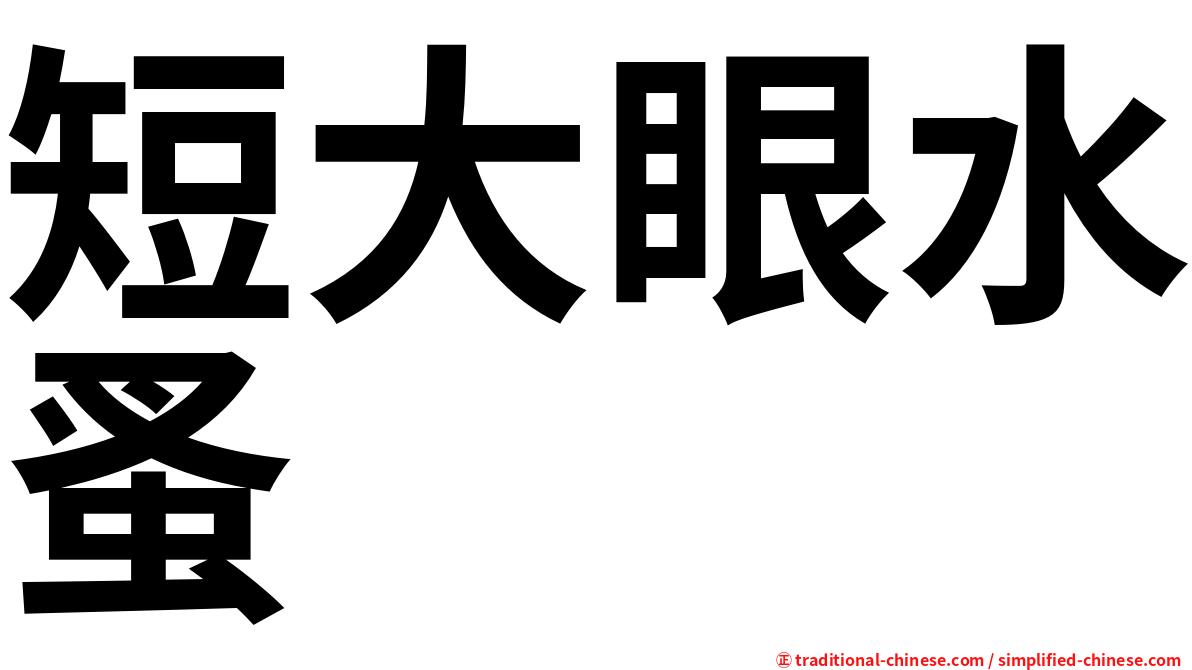 短大眼水蚤
