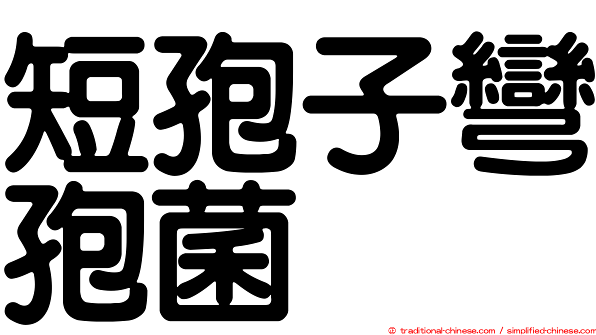 短孢子彎孢菌
