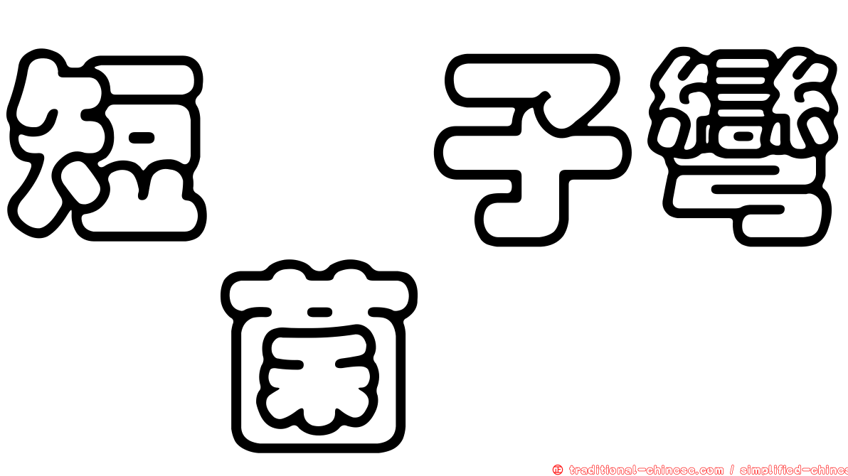 短孢子彎孢菌