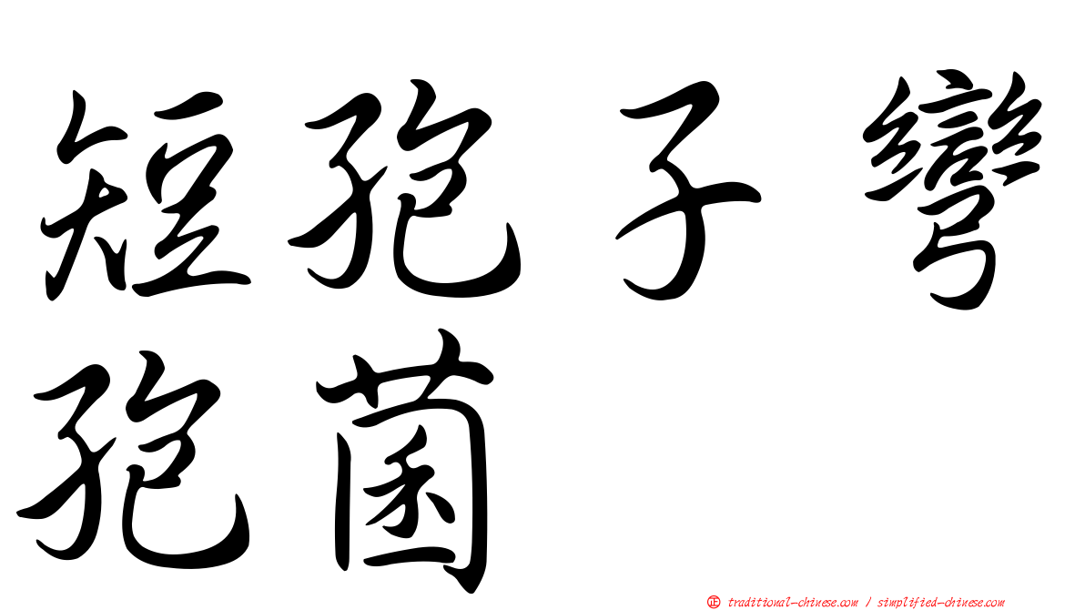 短孢子彎孢菌