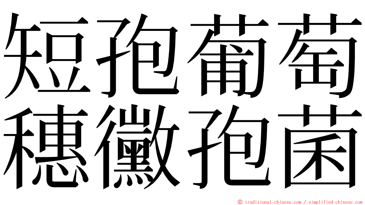 短孢葡萄穗黴孢菌 ming font