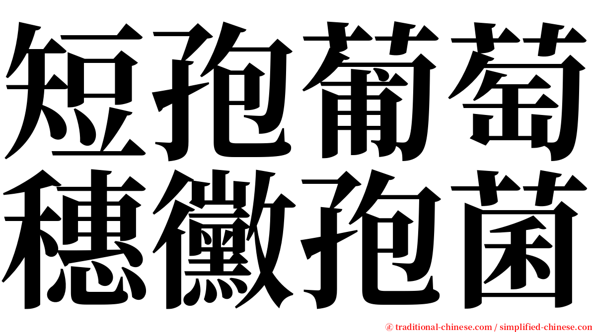 短孢葡萄穗黴孢菌 serif font