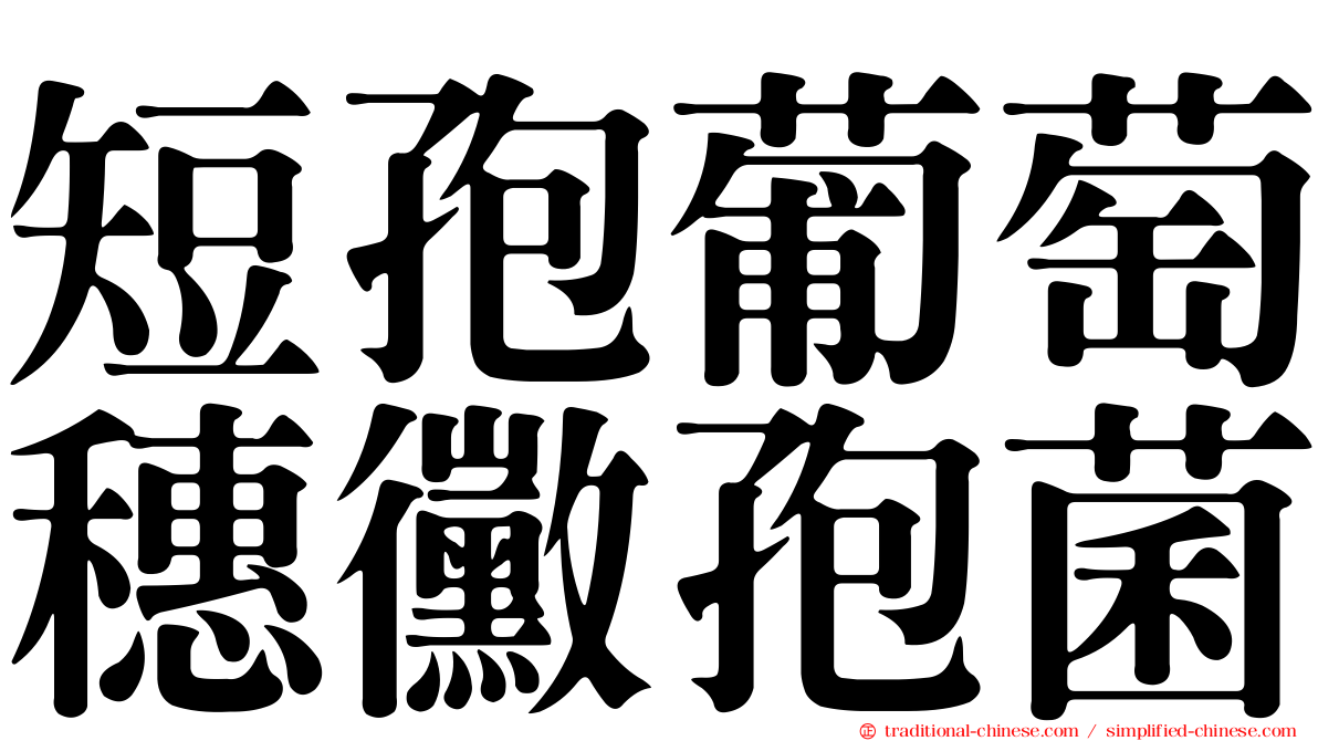 短孢葡萄穗黴孢菌