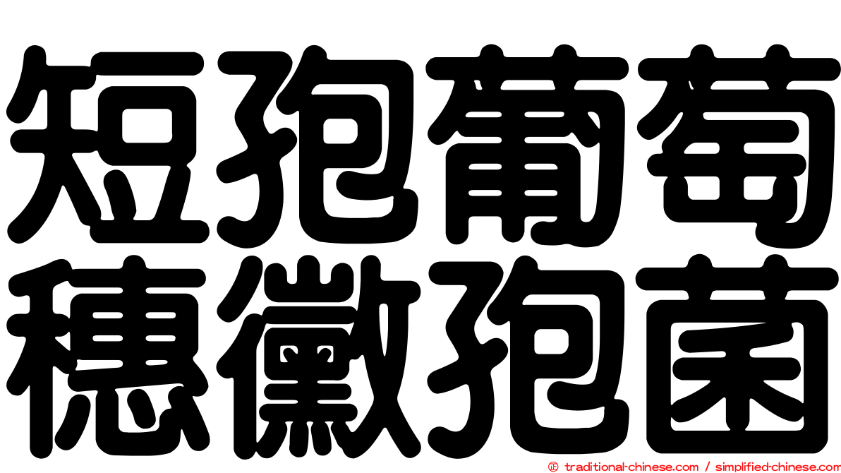 短孢葡萄穗黴孢菌