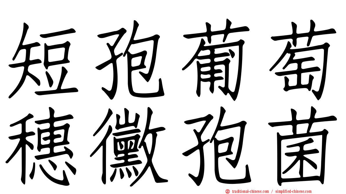 短孢葡萄穗黴孢菌