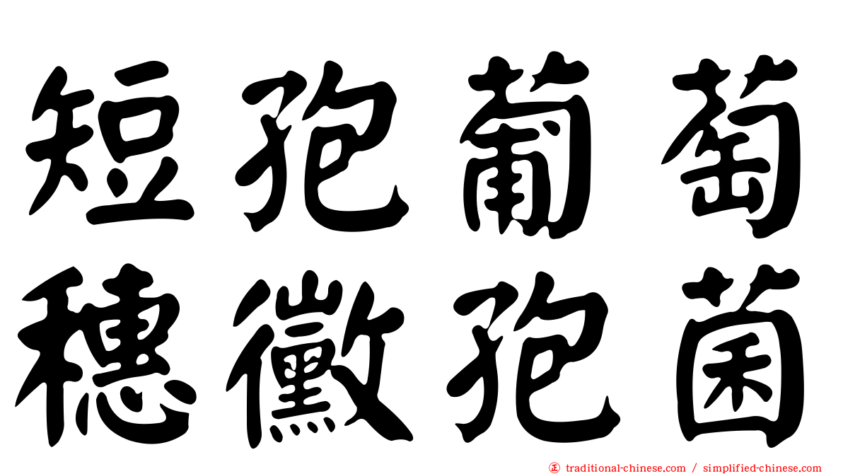 短孢葡萄穗黴孢菌