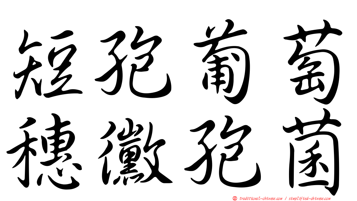 短孢葡萄穗黴孢菌
