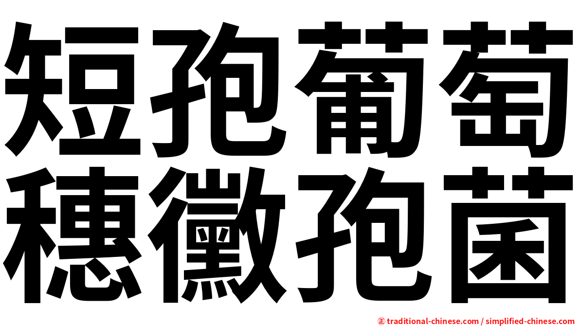 短孢葡萄穗黴孢菌