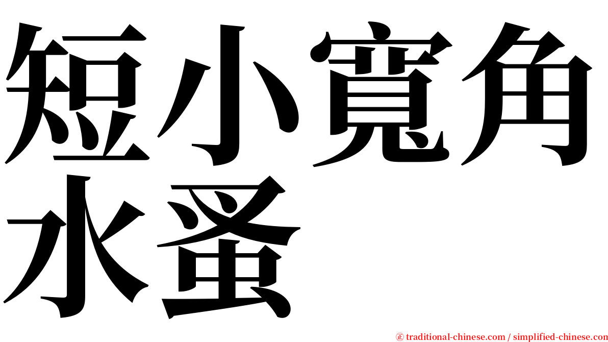 短小寬角水蚤 serif font