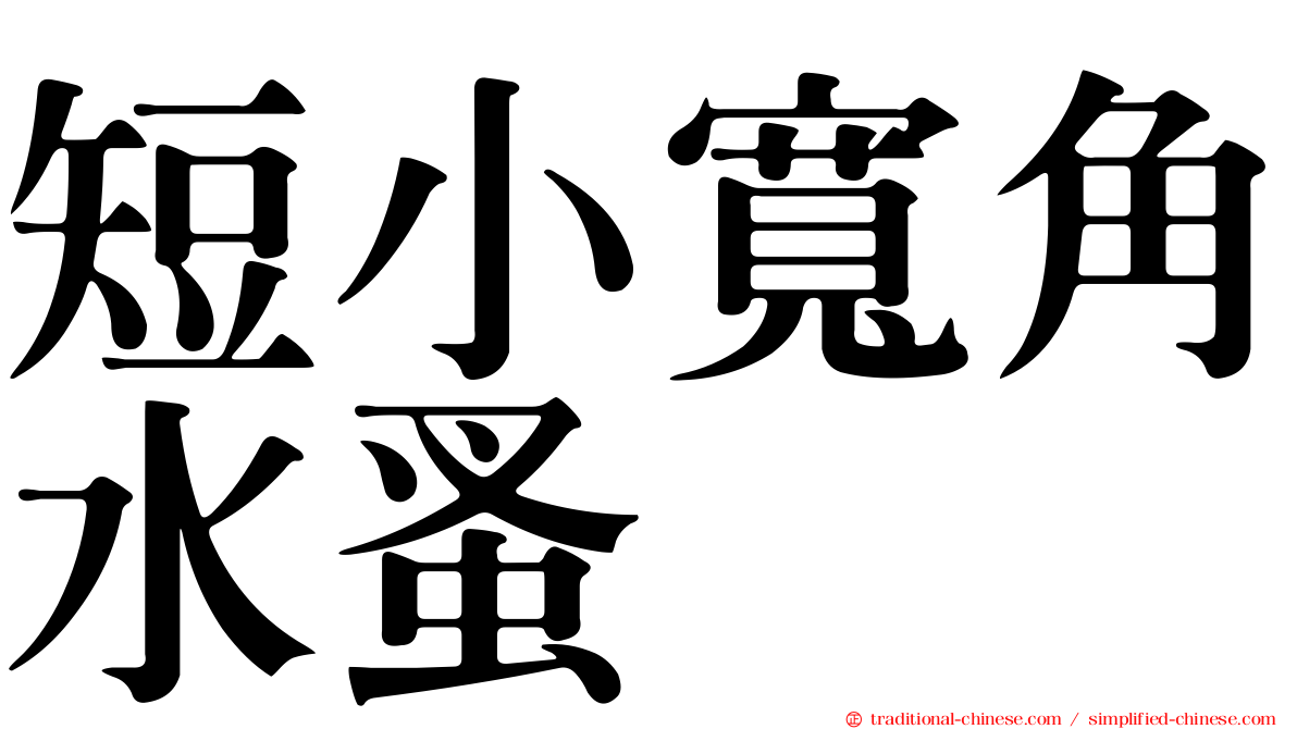短小寬角水蚤
