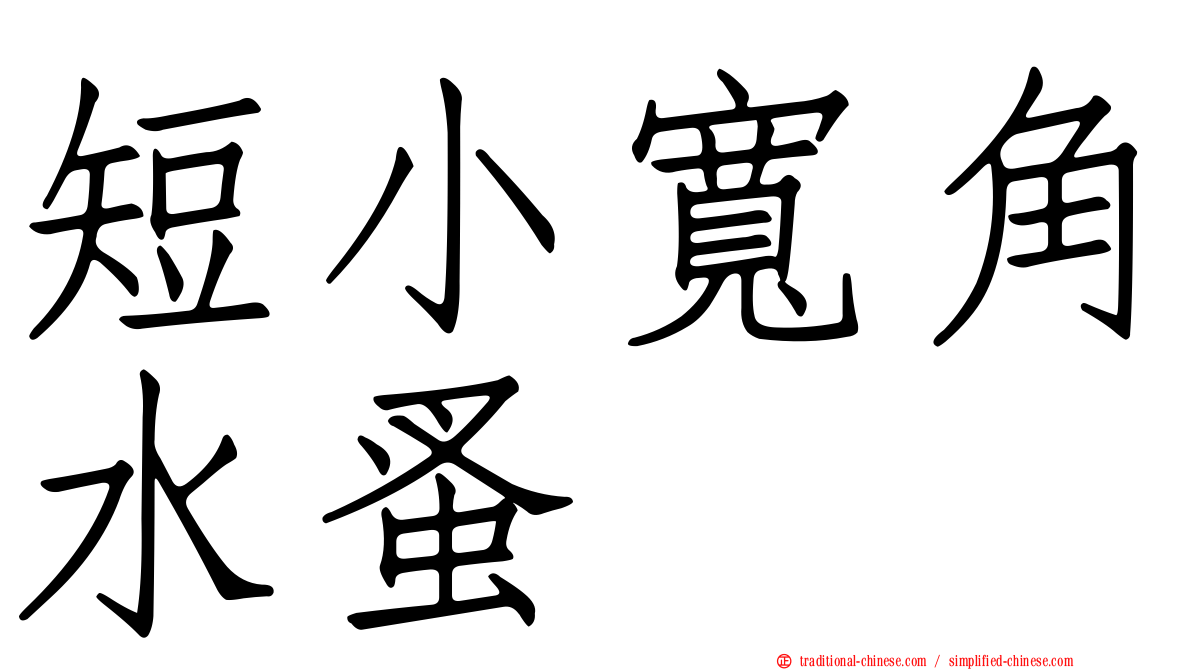 短小寬角水蚤