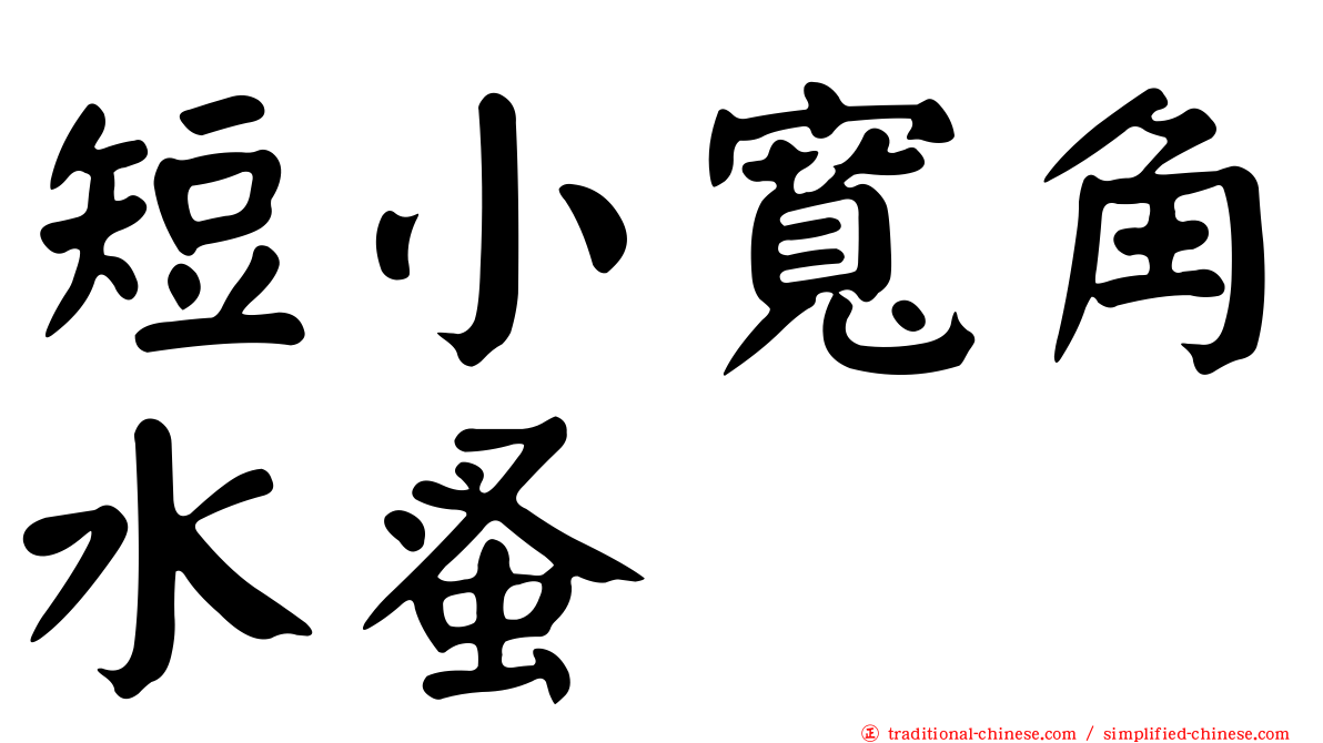 短小寬角水蚤