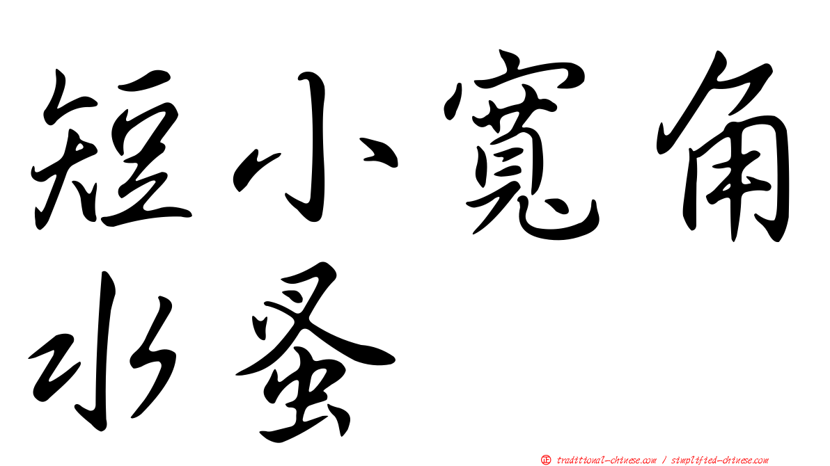 短小寬角水蚤