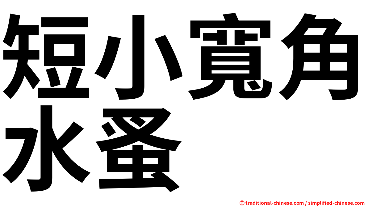 短小寬角水蚤