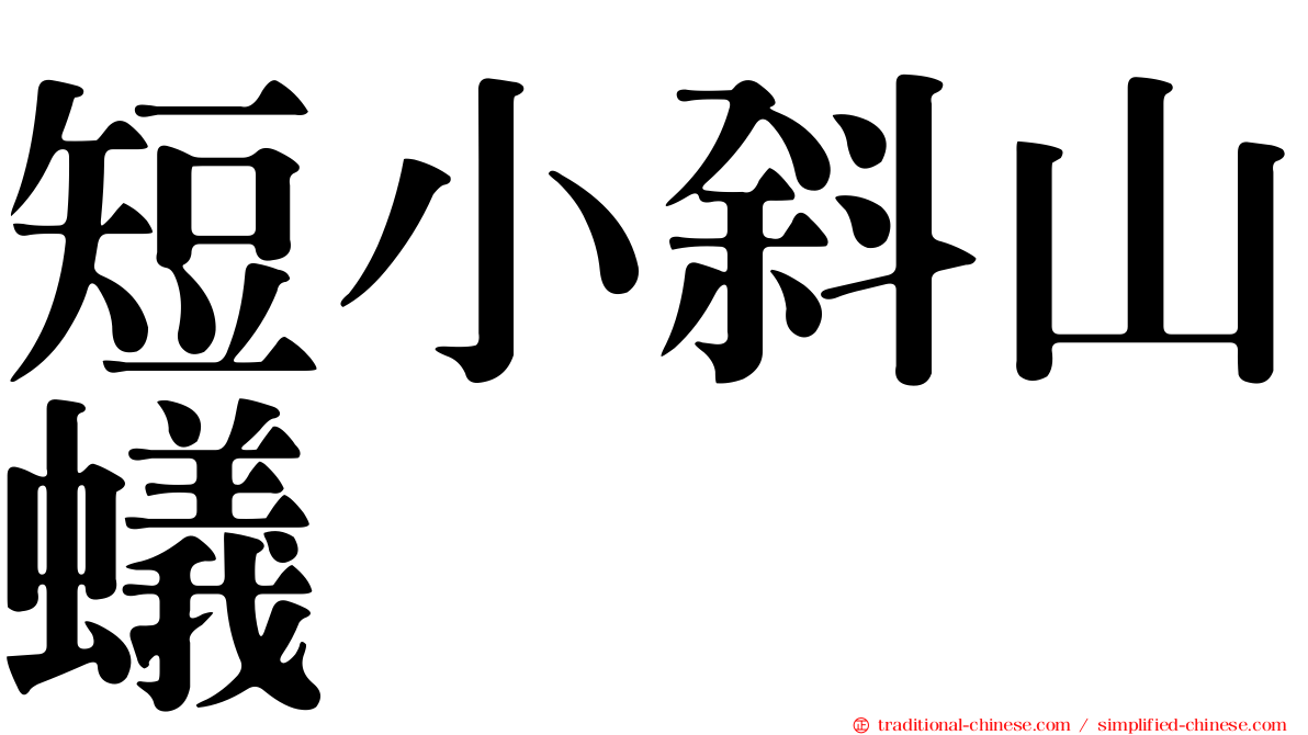 短小斜山蟻