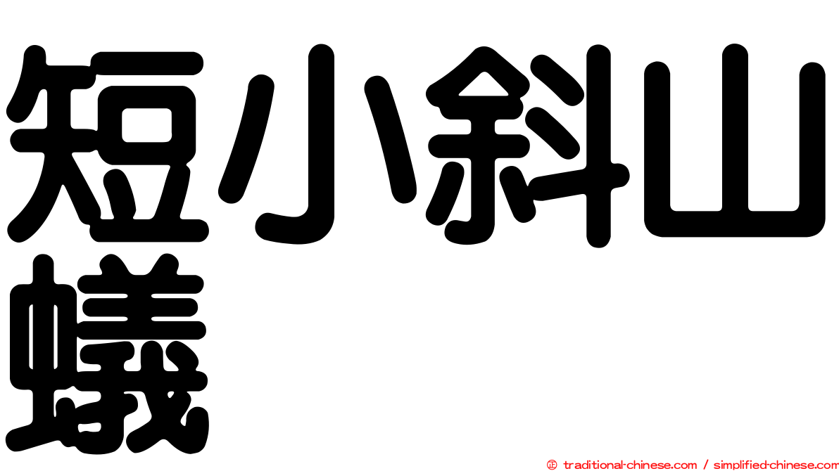 短小斜山蟻