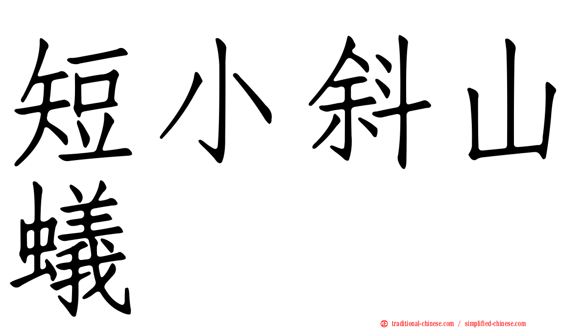 短小斜山蟻
