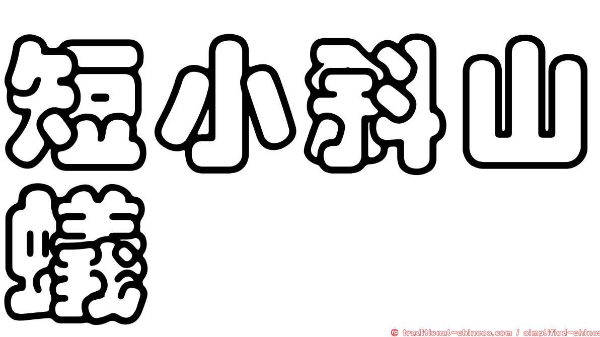 短小斜山蟻