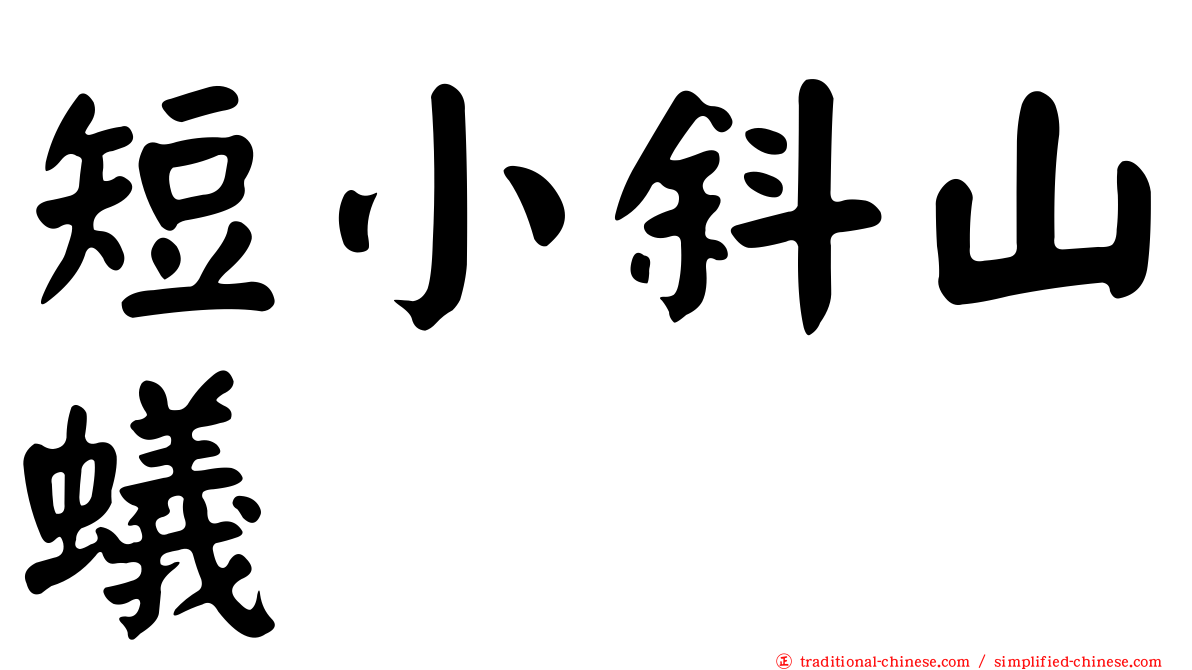 短小斜山蟻