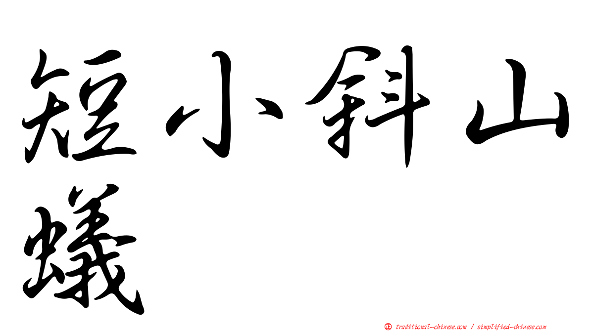 短小斜山蟻