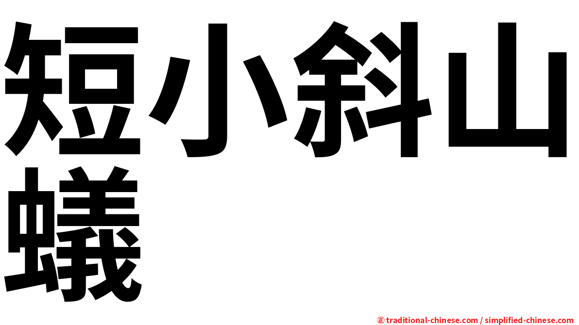 短小斜山蟻