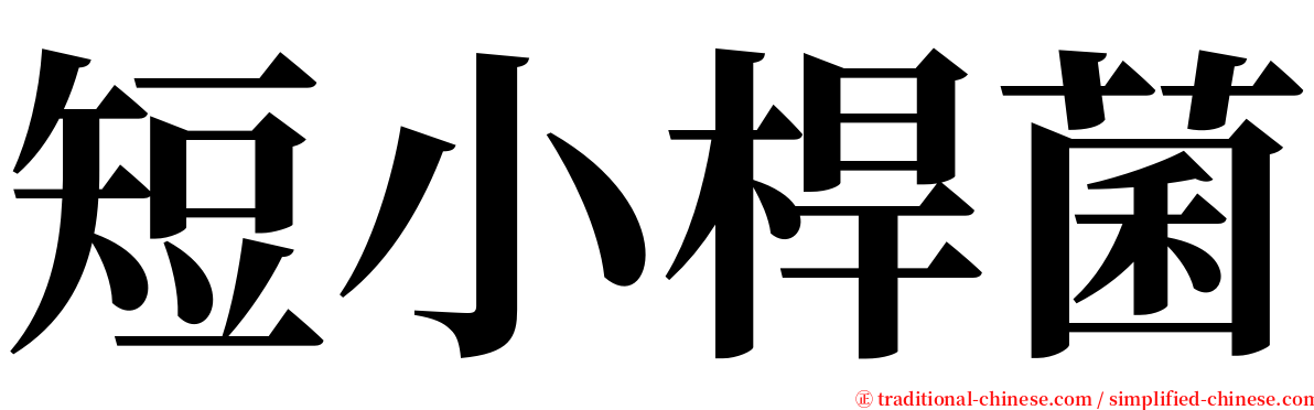 短小桿菌 serif font