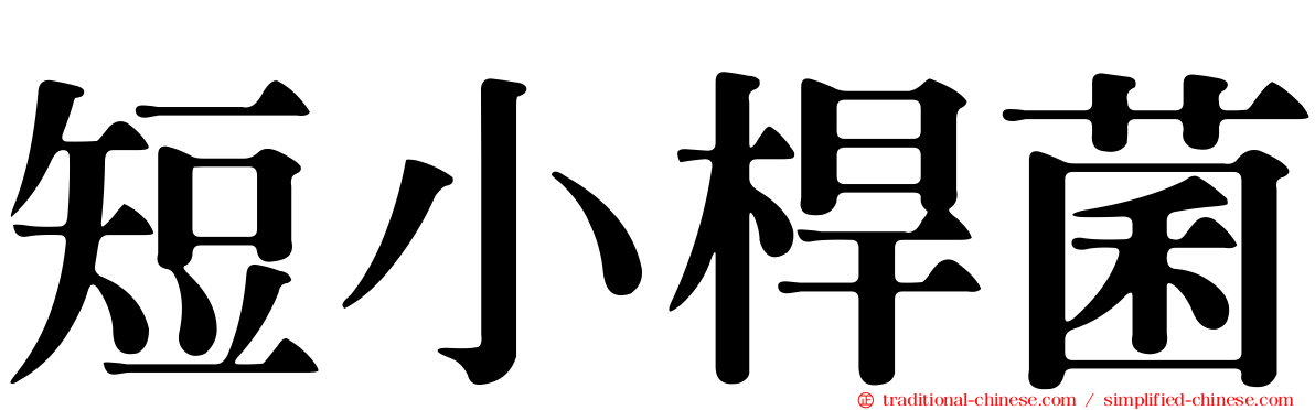 短小桿菌