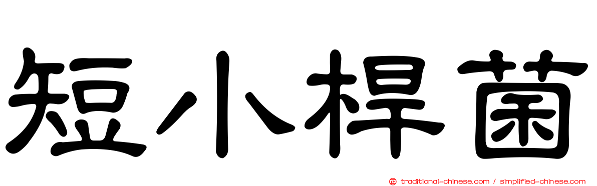 短小桿菌