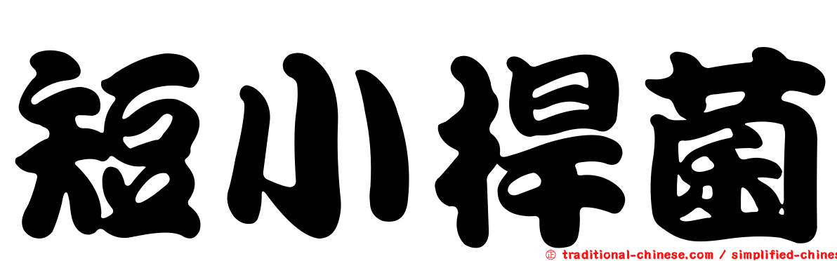 短小桿菌