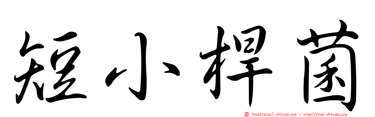短小桿菌