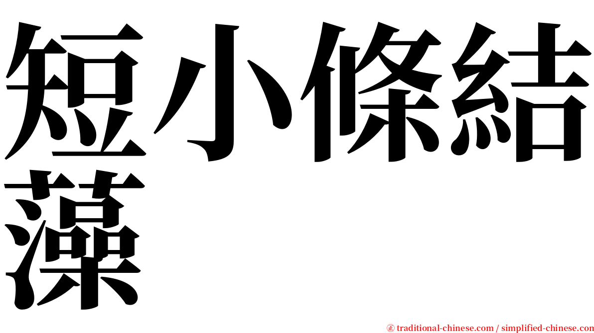 短小條結藻 serif font