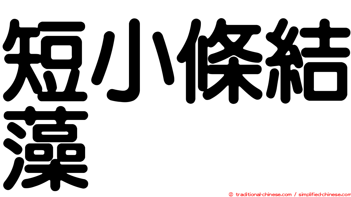 短小條結藻
