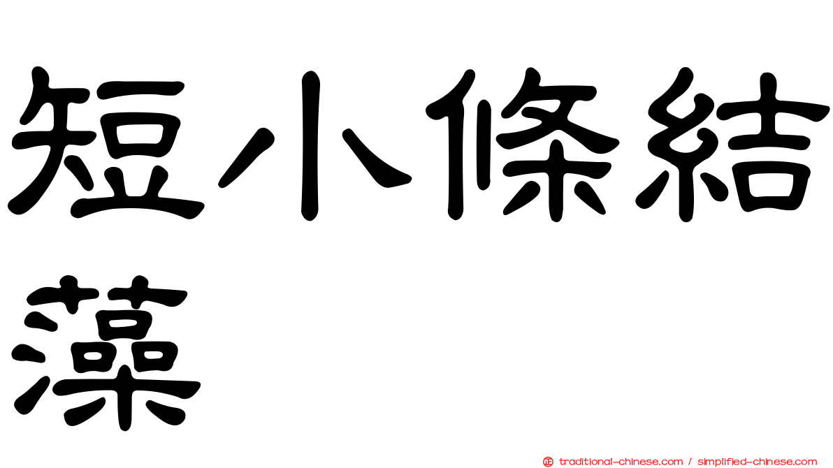 短小條結藻
