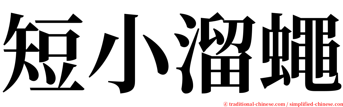 短小溜蠅 serif font