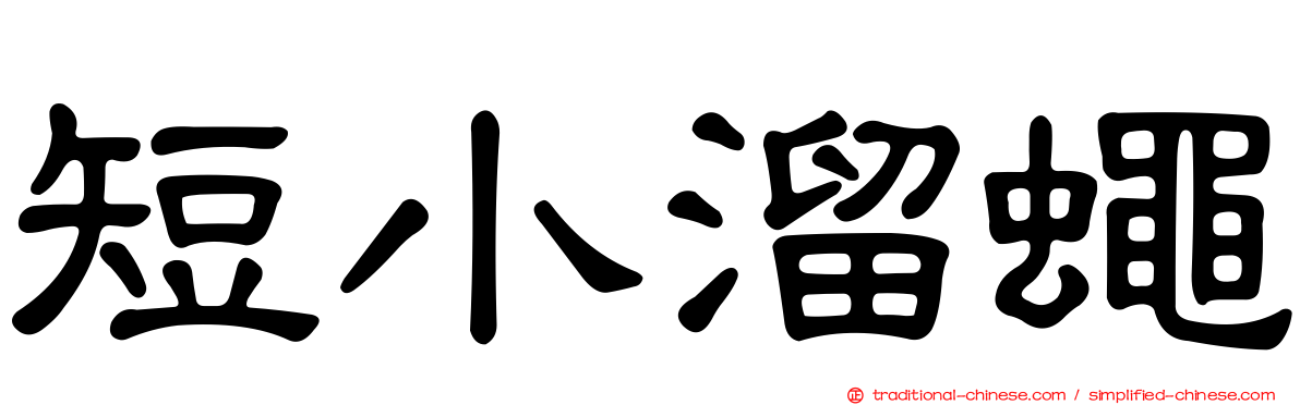 短小溜蠅