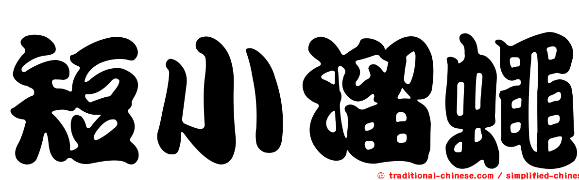 短小溜蠅