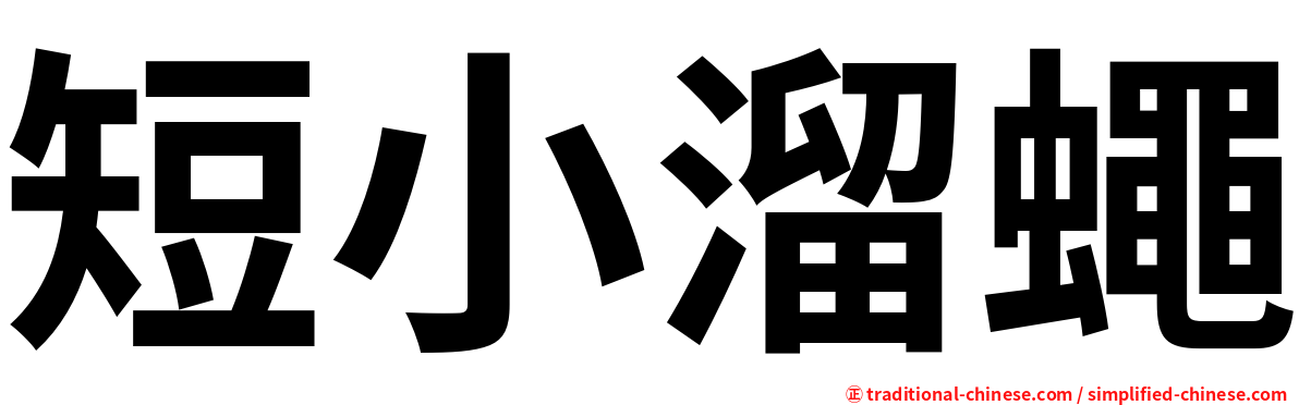 短小溜蠅