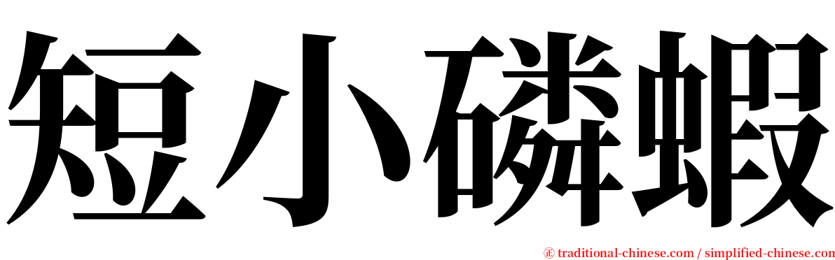 短小磷蝦 serif font