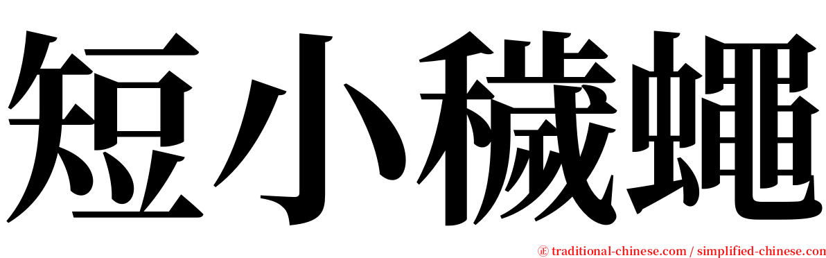 短小穢蠅 serif font