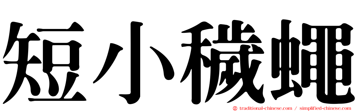 短小穢蠅