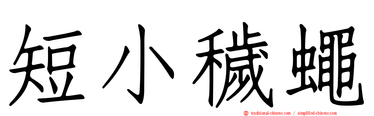 短小穢蠅
