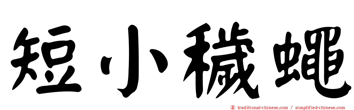 短小穢蠅