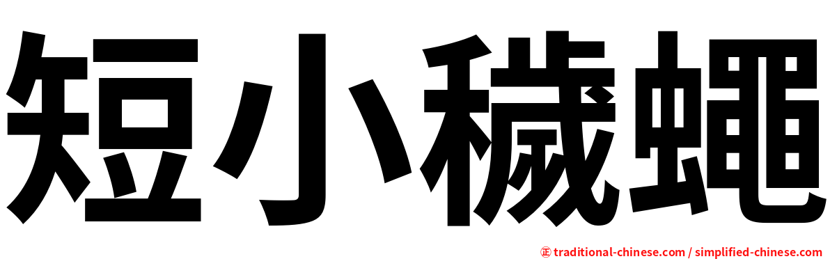 短小穢蠅