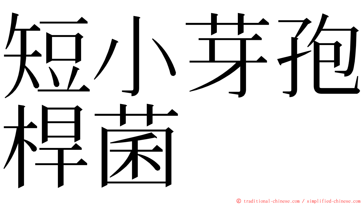 短小芽孢桿菌 ming font