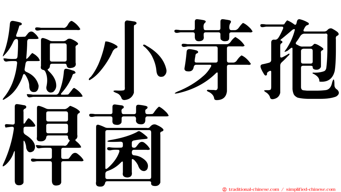 短小芽孢桿菌