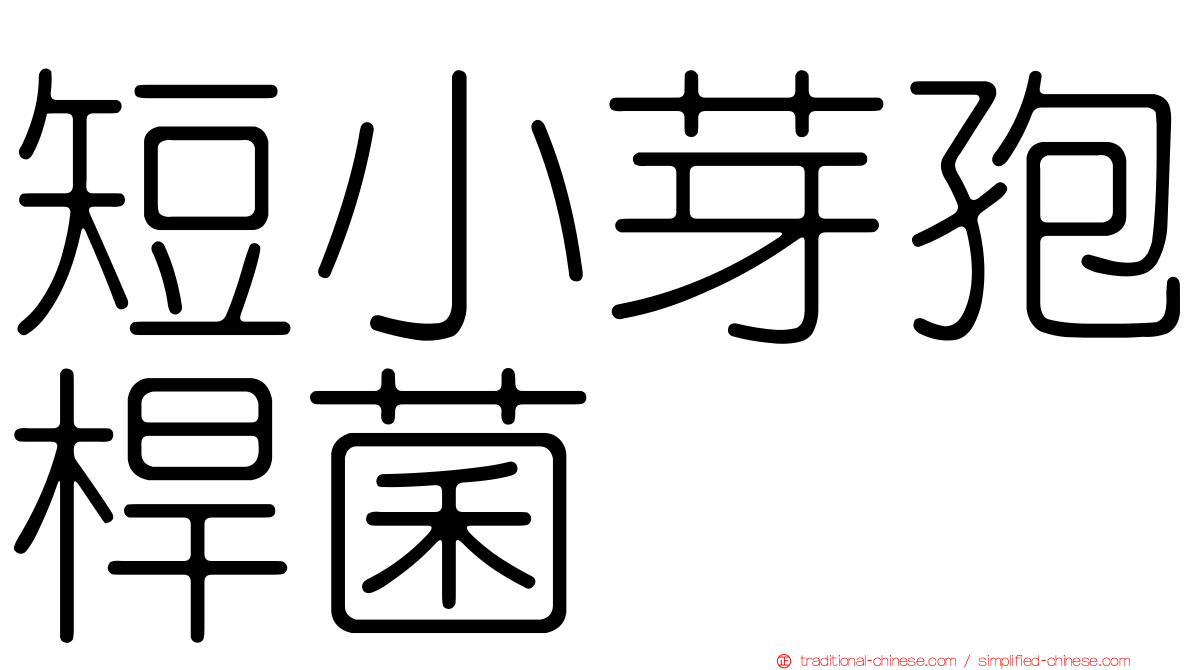 短小芽孢桿菌