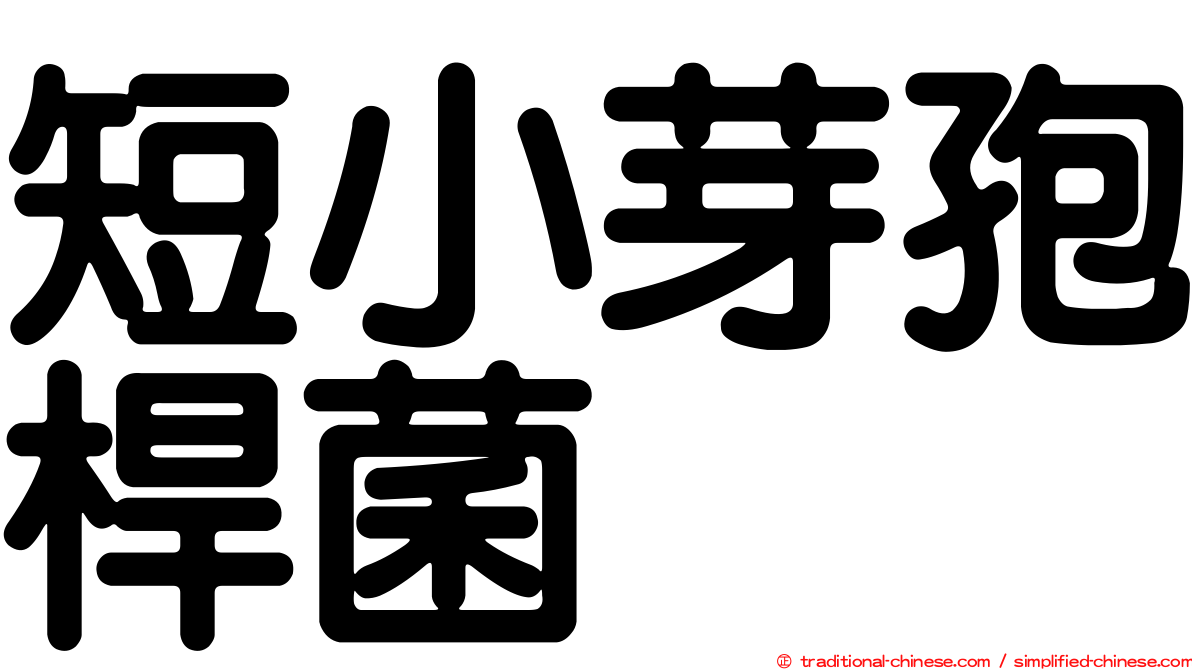 短小芽孢桿菌