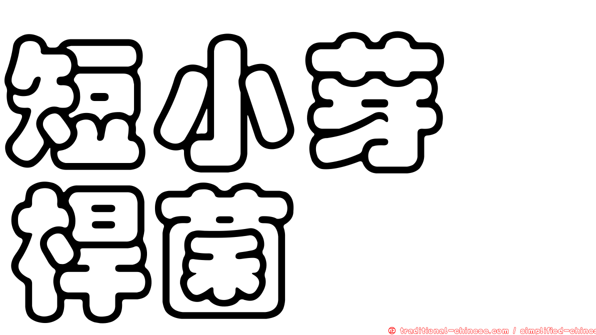 短小芽孢桿菌