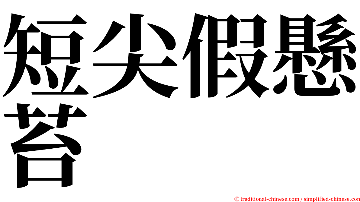 短尖假懸苔 serif font