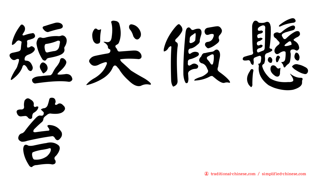 短尖假懸苔